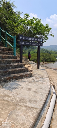 Thumbnail of pic_Fong_074.jpg