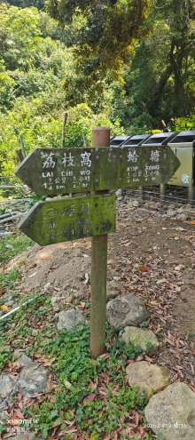 Thumbnail of pic_Fong_076.jpg