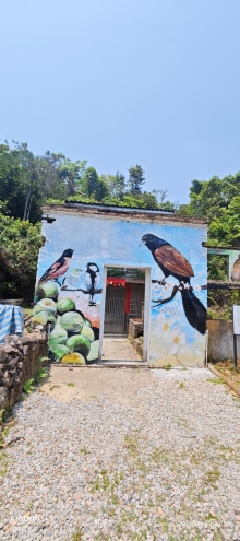 Thumbnail of pic_Fong_088.jpg