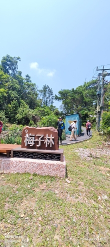 Thumbnail of pic_Fong_090.jpg