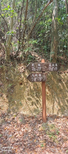 Thumbnail of pic_Fong_092.jpg