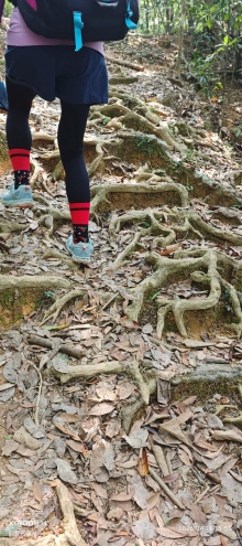 Thumbnail of pic_Fong_095.jpg