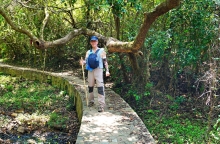 Thumbnail of pic_Lee_Shing_016.JPG