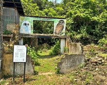 Thumbnail of pic_Lee_Shing_027.jpg