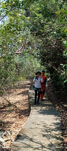 Thumbnail of pic_Mingle_Tam_035.jpg