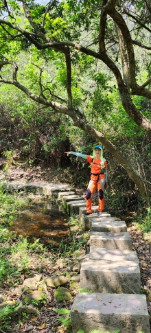 Thumbnail of pic_Si9_027.jpg