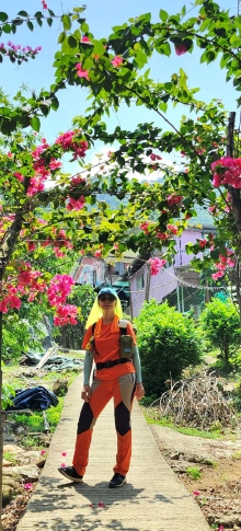 Thumbnail of pic_Si9_044.jpg