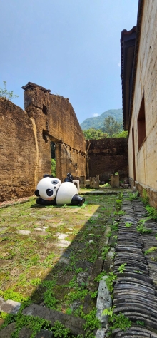 Thumbnail of pic_Si9_065.jpg