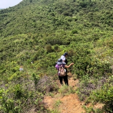 Thumbnail of P4260017.JPG