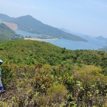 Thumbnail of pic_Derek_Wong_030.jpg