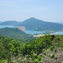 Thumbnail of pic_Si9_010.jpg