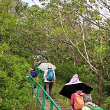 Thumbnail of pic_KL_Sin_007.jpg
