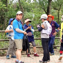 Thumbnail of pic_KL_Sin_032.jpg