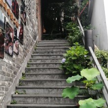 Thumbnail of pic_Lee_Woo_013.jpg