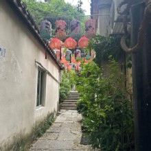 Thumbnail of pic_TB_Tung_011.JPG