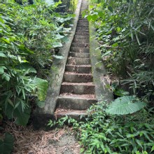 Thumbnail of pic_TB_Tung_039.JPG