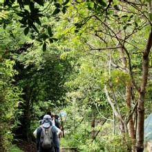 Thumbnail of pic_KL_Sin_022.jpg
