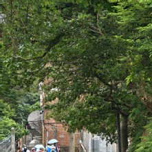 Thumbnail of pic_KL_Sin_048.jpg