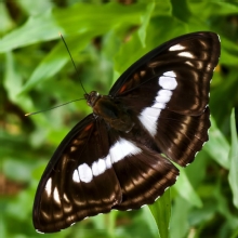 Thumbnail of pic_Betty_Cheung_007.jpg