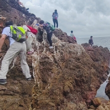 Thumbnail of pic_Derek_Wong_122.jpg
