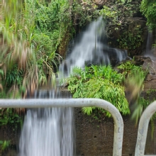 Thumbnail of pic_XF_Liu_039.jpg