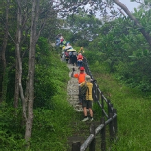 Thumbnail of pic_Cindy_Tse_011.jpg