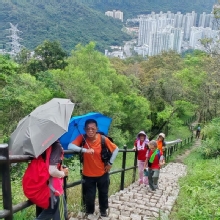 Thumbnail of pic_Cindy_Tse_014.jpg