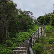 Thumbnail of pic_Cindy_Tse_039.jpg