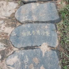 Thumbnail of pic_Cindy_Tse_025.jpg