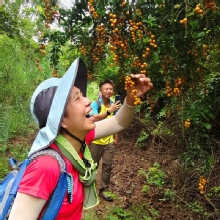 Thumbnail of pic_Derek_Wong_034.jpg