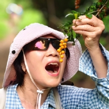 Thumbnail of pic_Derek_Wong_037.jpg