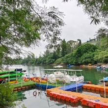 Thumbnail of pic_KL_Sin_011.jpg