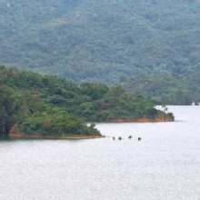 Thumbnail of pic_KL_Sin_030.jpg