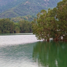 Thumbnail of pic_KL_Sin_047.jpg
