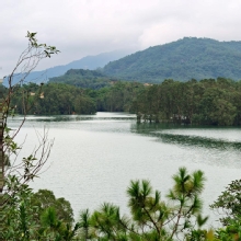 Thumbnail of pic_KL_Sin_053.jpg