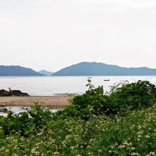 Thumbnail of pic_KL_Sin_019.jpg