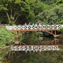 Thumbnail of pic_KL_Sin_025.jpg