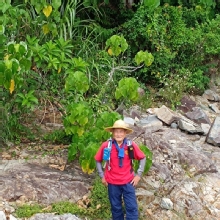 Thumbnail of pic_Mingle_Tam_019.jpg