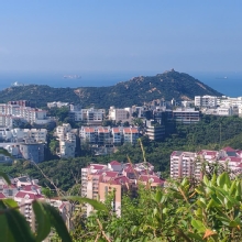 Thumbnail of pic_Cindy_Tse_005.jpg