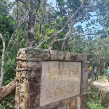 Thumbnail of pic_Cindy_Tse_019.jpg
