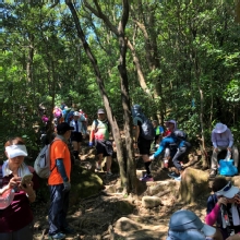 Thumbnail of PA110029.JPG